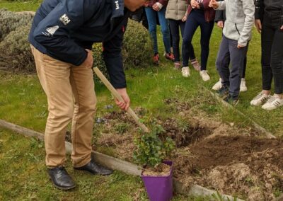 Plantation rosiers 15 mars 2022